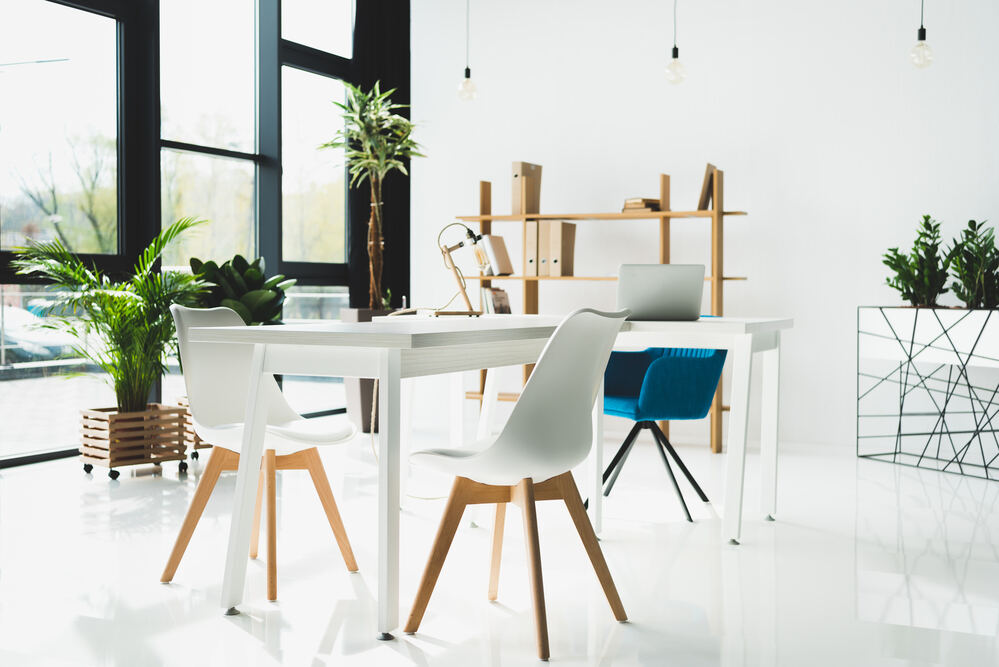 Bright modern office with plants and natural light — healthy indoor environment
