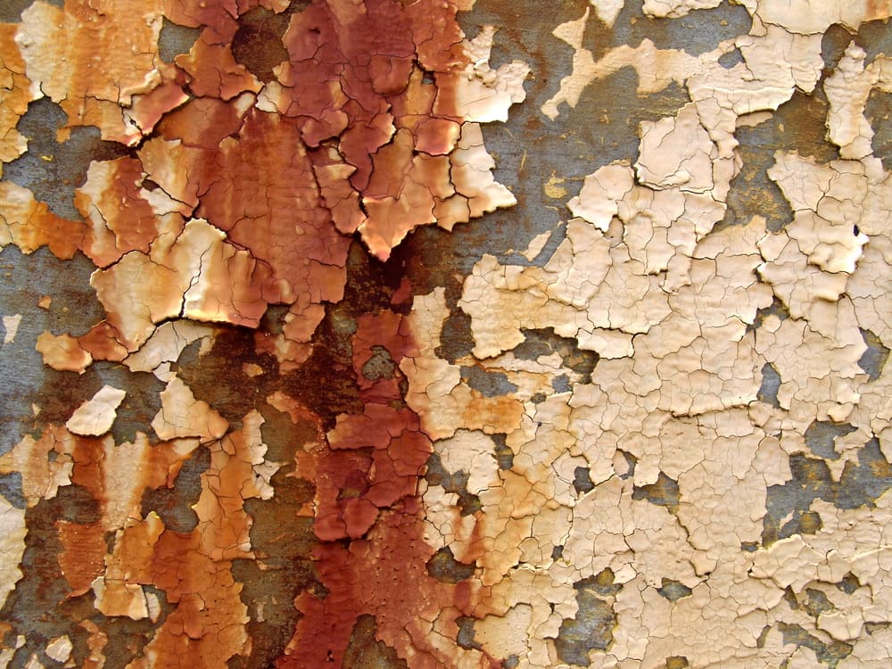 Lead paint flaking from a surface